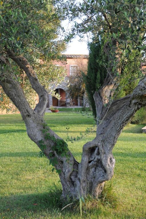 فيلا Relais Le Ginestre ساتورنيا المظهر الخارجي الصورة